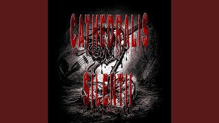 Cathedralis Silentii