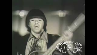 Video thumbnail of "NEW * Pushin' Too Hard - The Seeds {Stereo} 1967"