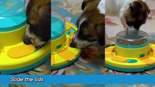 Potaroma Dog Puzzle Toy 2 Levels, Slow Feeder