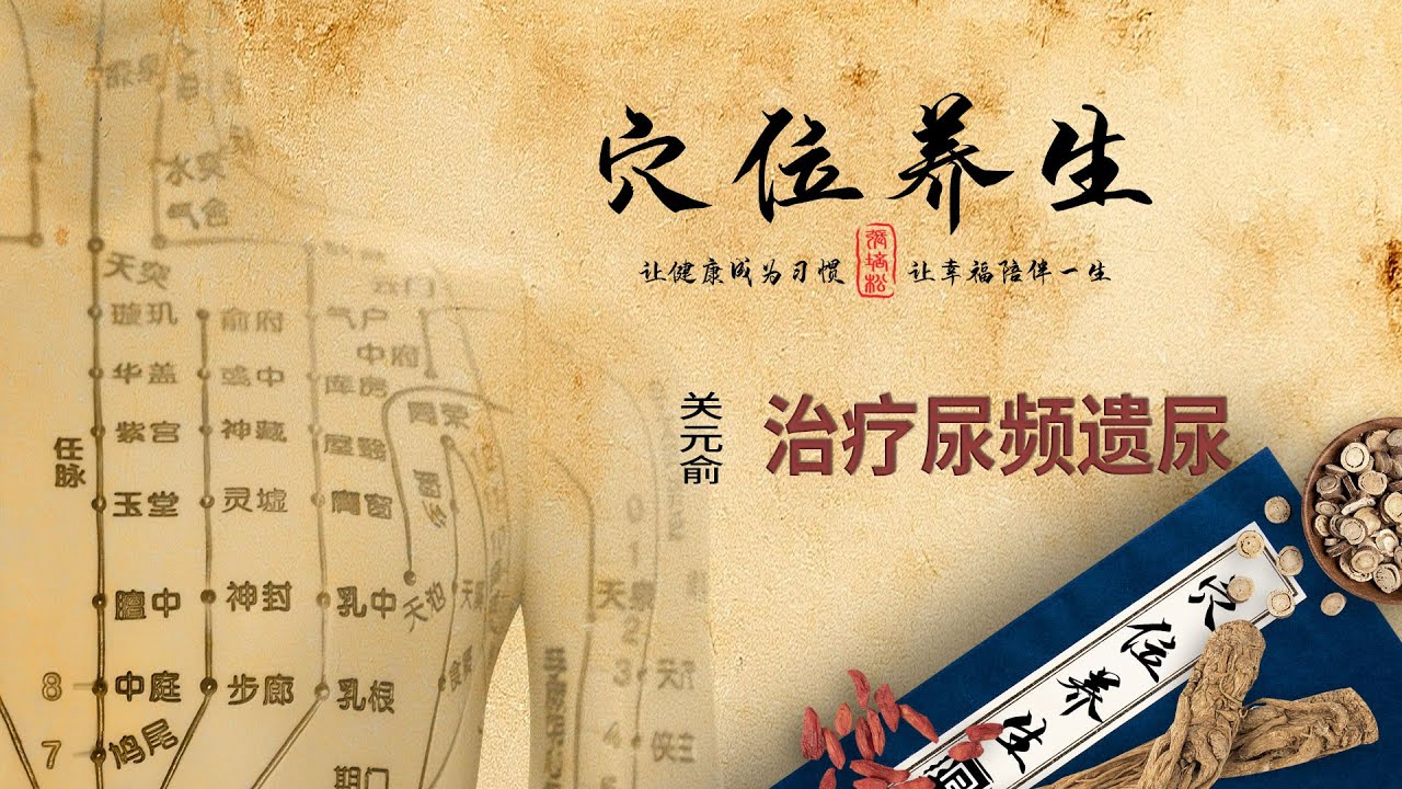 经络穴位养生 - 关元俞穴 - 治疗尿频遗尿 - YouTube
