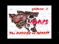Phase 2