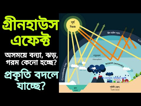 ভিডিও: কিভাবে মার্কিন পরিবেশ প্রভাবিত করে?