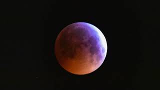 Lunar #eclipse of the #Supermoon #Bloodmoon from Europe