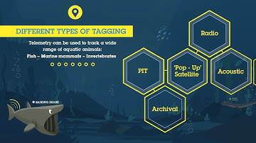 Data Management in ETN Part 2 - How to get your metadata in the database