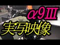 SONY α9Ⅲ　世界初グローバルシャッターの実力。