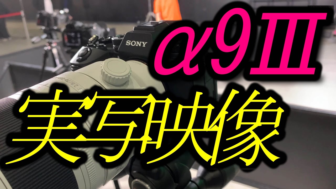 SONY α9Ⅲ 世界初グローバルシャッターの実力。 - YouTube