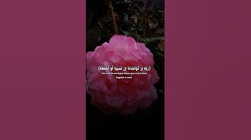 احترم القران الكريم
