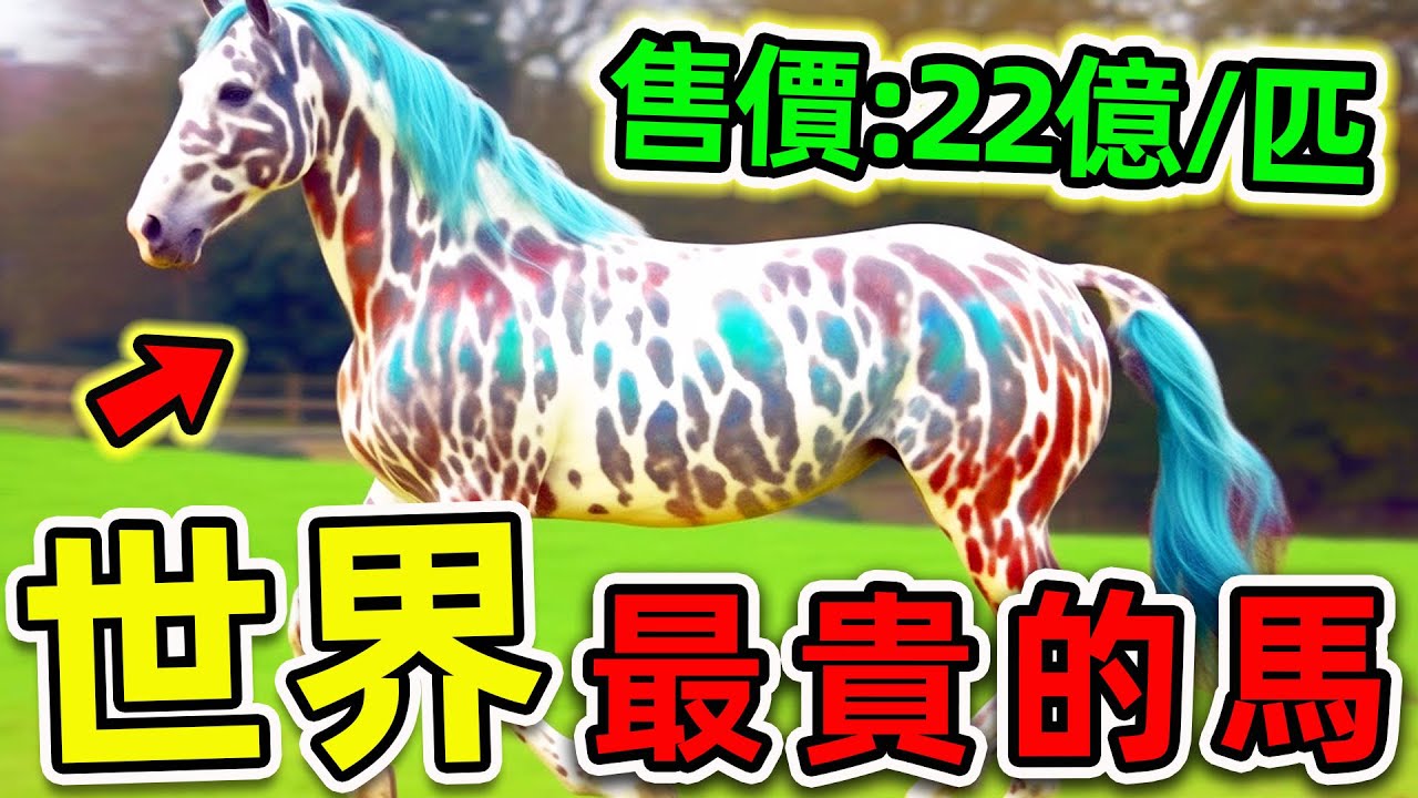 全世界最貴的10匹馬！汗血寶馬只排第4，第一名售價高達22億，卻沒人敢養。|#世界之最top #世界之最 #出類拔萃 #腦洞大開 #top10 #最貴的馬