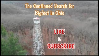 The Search for Bigfoot in Ohio