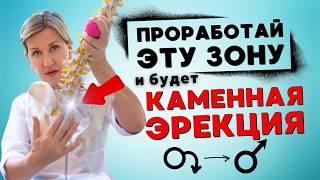 видео: ЛУЧШАЯ ТЕХНИКА ДЛЯ УСИЛЕНИЯ ЭРЕКЦИИ, всего 5 МИНУТ в день картинка: ЛУЧШАЯ ТЕХНИКА ДЛЯ УСИЛЕНИЯ ЭРЕКЦИИ, всего 5 МИНУТ в день