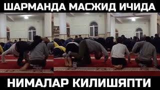 МУСУЛМОНЛАРНИ ШАРМАНДА ҚИЛАЯПТИ БУЛАР•|ДОМЛАНИ ЖАХЛИ ЧИҚДИ