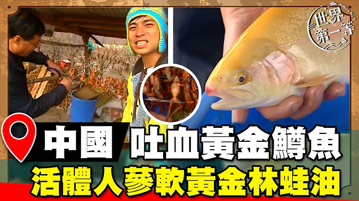 【世界大尋奇】湖南東江湖吐血黃金鱒魚 千萬活體人蔘軟黃金林蛙油｜《世界第一等》濃縮精華版 #世界該去哪 - 天天要聞