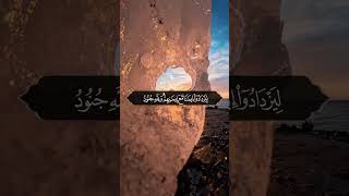 Download Lagu Murotall Qur'an .#murottalquran #bacaanalquran MP3