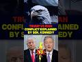 Trump vs Iran Conflict Explained by Senator Kennedy! 🔥 #trump #iran #funny