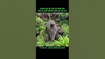 hồ koi 25 khối tại Hưng Yên , chú chia sẽ khá nhiều kinh nghiệm nuôi p7