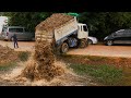 Now We Start On The Project!! Landfill Delete dEEp Fish Pond By Skills Dozer Pushing Soil