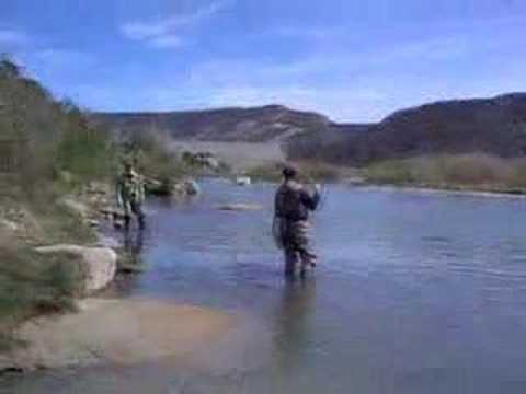 Fly fishing San Juan River