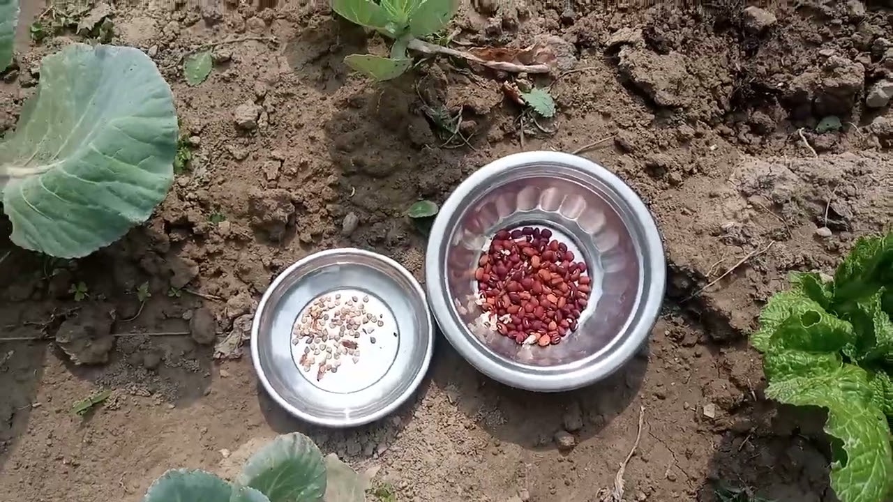 Hernu Sathi haru aajha maile k k Kam gare??❤️❤️🙏🙏