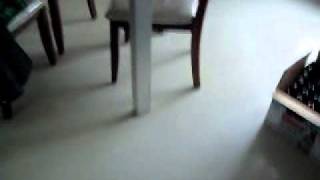 SDC10003.AVI
