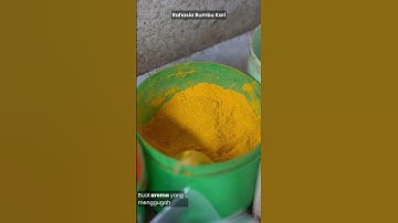 Thumbnail of Rahasia Bumbu Kari