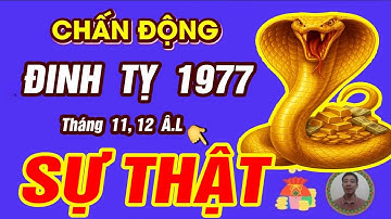 Sự Thật tử vi tháng 11 và Tháng 12 âm lịch 2025 Tuổi ĐINH TỴ 1977 BÃO LỘC TRÀN VỀ GIÀU HƠN TỶ PHÚ