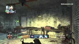 Gubbz Zebbe - Black Ops 2 Turns