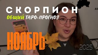 видео: СКОРПИОН - ОБЩИЙ ТАРО ПРОГНОЗ НА НОЯБРЬ 2025 года от Mary Huanovna  картинка: СКОРПИОН - ОБЩИЙ ТАРО ПРОГНОЗ НА НОЯБРЬ 2025 года от Mary Huanovna