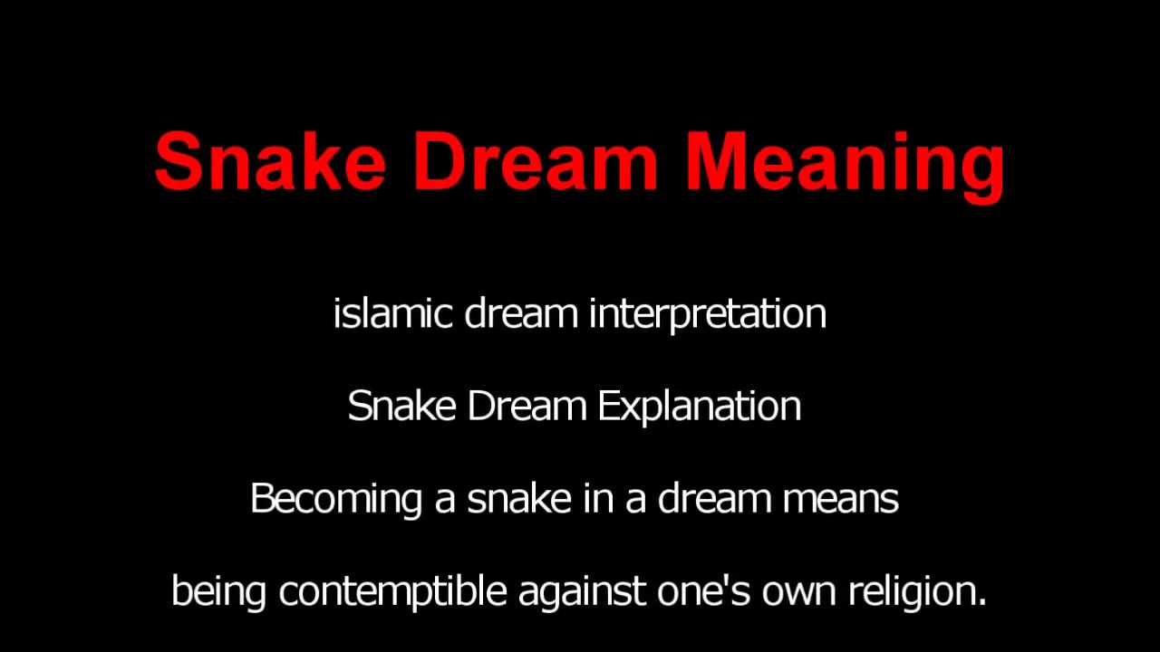 Snake Dream Meaning Islamic Interpretation YouTube
