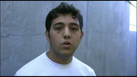 Video 9715251: persian cat review