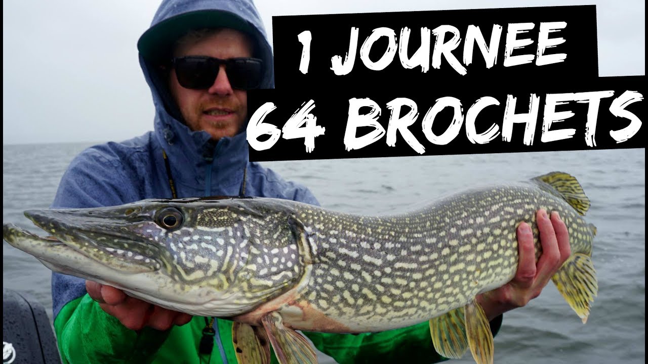 La sortie PECHE de l'annee 64 BROCHETS en 1 JOURNEE QUEBEC YouTube