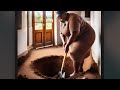 UGANDAN WOMAN Digs A Masive Hole In Her House For Killing Bodaboda Riders UGANDAN WOMAN Digs A Masive Hole In Her House For Killing Bodaboda Riders