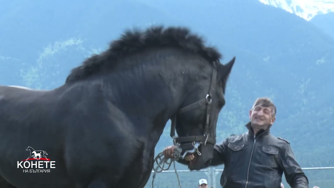 Конете на България: „Коне на три планини“ – пъстър репортаж в „Конете на България“