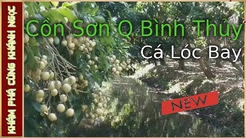 Khám phá cùng Khánh Ngọc | KDL Cồn Sơn Cần Thơ -Xem Cá Lóc Bay