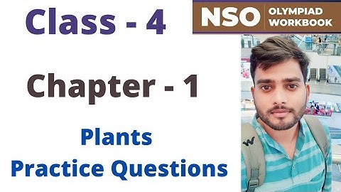 NSO ~ National Science Olympiad | Class - 4 | C - 1 | Plants ~ Practice Questions | By - Sudhir Sir