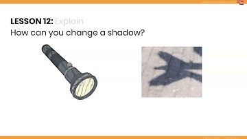 mySci Unit 8 Lesson 12 Summary