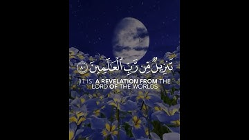 إنه لقرءان كريم 💜 راحة نفسية ♥ حالات واتس اب دينية - القارئ شريف مصطفى
