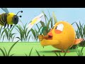 Where&#39;s Chicky? Funny Chicky 2023 | THE BEES | Cartoon in English for Kids | New episodes