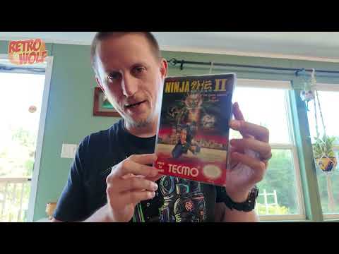 Insane Game Lot Pickup Continued! | Members Only Video