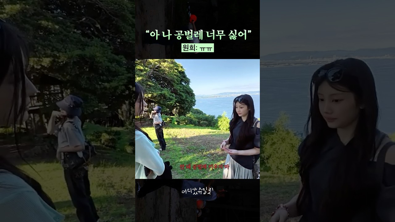 난 공벌레 좋은데 #슈퍼아일릿 #어디갔슈일릿 #SUPER_ILLIT #ILLIT #아일릿
