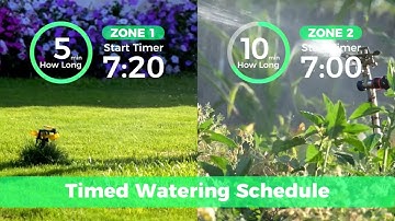 【Diivoo】WT-08 Water Timer Function Display