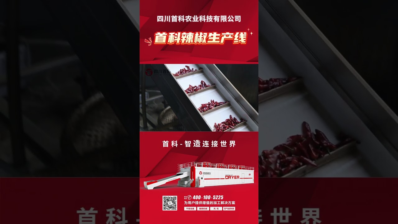 How To Get Highest Chili Quality? How To Process Big Capacity Clean Chili Capsicum Paprika In China?