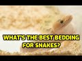 Best Bedding Options for Your Pet Snake: A Comprehensive Guide