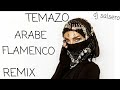Habibi - Arab Flamenco Remix 🎶 by DJ SaLsErO