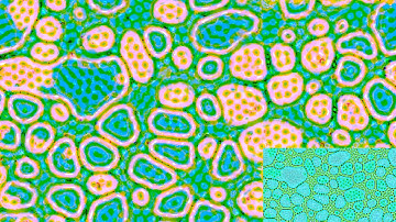 Cellular Automata - Slackermanz - VKAutomata1401 SCALE