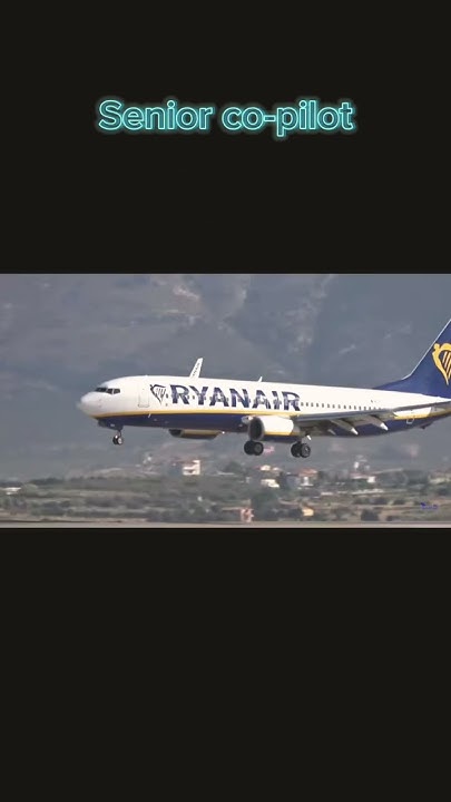 how-much-do-ryanair-pilots-make-a-year-airbus-flightsimulator