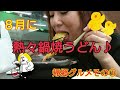 熱帯夜、鍋焼うどんだべました🎵資さんうどん🎵ごぼ天うどん🎵母と一緒に里帰りグルメその①