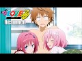 Cuando 19 CHICAS  se Enamoran de Ti | To Love Ru Temporada 1 Resumido en 10 minutos - Anime Crack