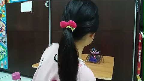 micro:bit_ spider + MU sensor board (MORPX) 影像辨識: 人體偵測追蹤蜘蛛