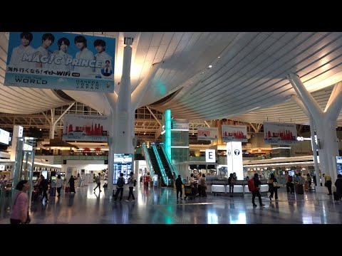 【歌ってみた】中国語超初心者日本人がI'm a little little birdに挑戦！【発音も音程もかなりいい加減】日本人唱了一首中国歌