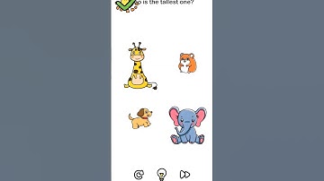 Brain Out | Level No. 03 | Who is the tallest one? | Solution Short #brainout #gameplay #solution